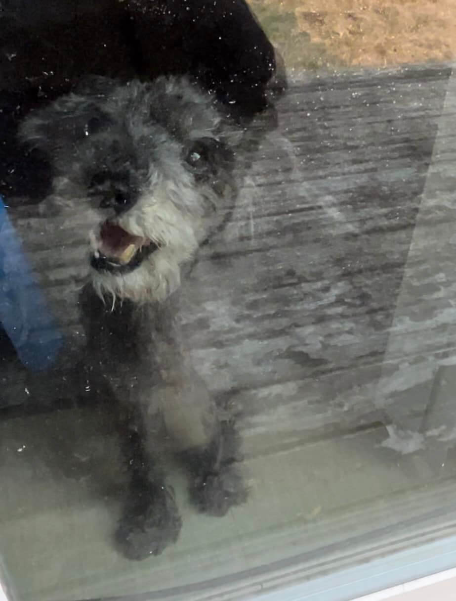 Concise description of lake photo for screen readers or if image fails to load.